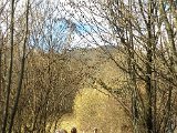 San Defendente (27).JPG